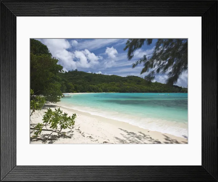 Framed Print : DDE-90021725 Framed Print : DDE-90021725