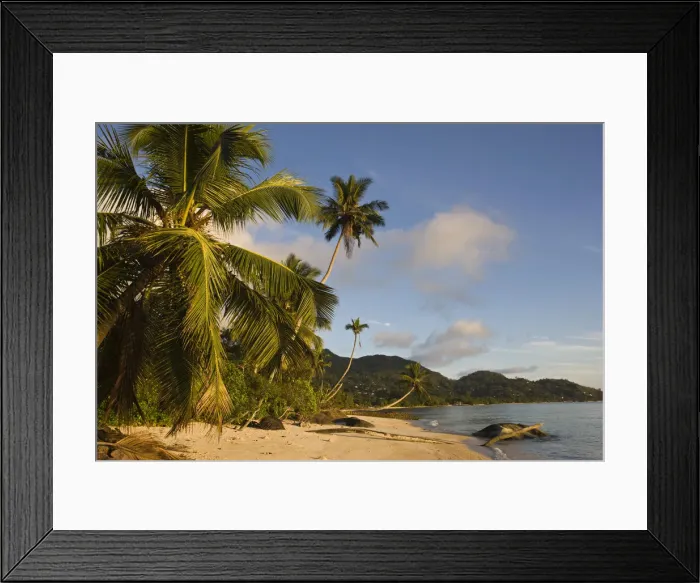 Framed Print : DDE-90021724 Framed Print : DDE-90021724