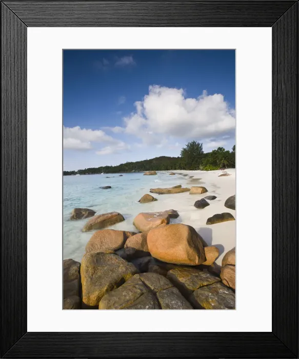 Framed Print : DDE-90021728 Framed Print : DDE-90021728