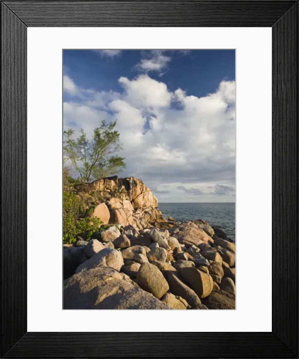 Framed Print : DDE-90021731 Framed Print : DDE-90021731