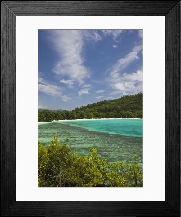Framed Print : DDE-90021727 Framed Print : DDE-90021727