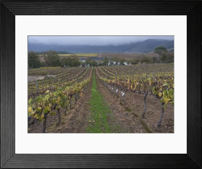 Framed Print : DDE-90021738 Framed Print : DDE-90021738