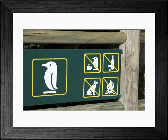 Framed Print : DDE-90021750 Framed Print : DDE-90021750