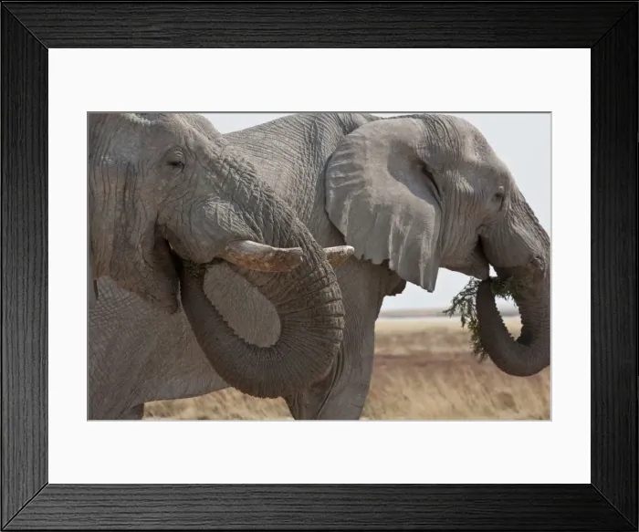 Framed Print : DDE-90021767 Framed Print : DDE-90021767