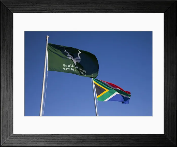 Framed Print : DDE-90021770 Framed Print : DDE-90021770