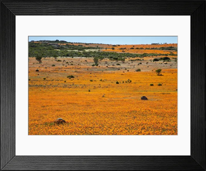Framed Print : DDE-90021771 Framed Print : DDE-90021771