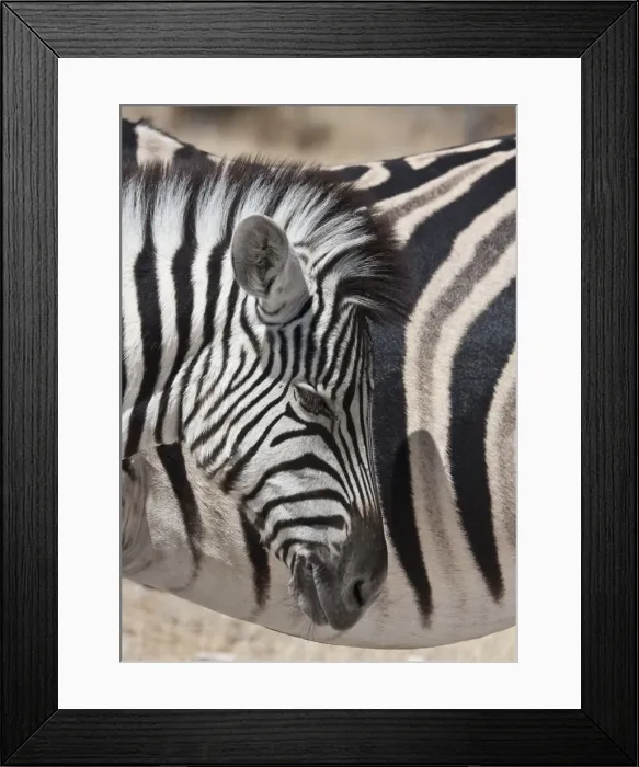 Framed Print : DDE-90021778 Framed Print : DDE-90021778