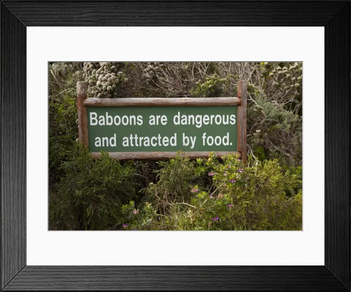 Framed Print : DDE-90021782 Framed Print : DDE-90021782