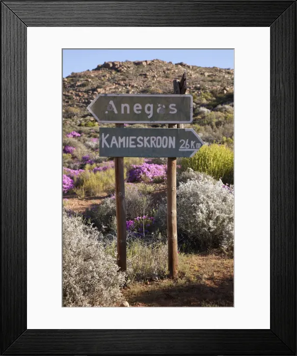 Framed Print : DDE-90021784 Framed Print : DDE-90021784