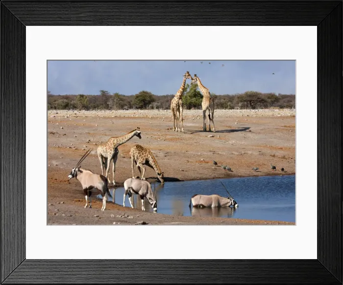 Framed Print : DDE-90021791
