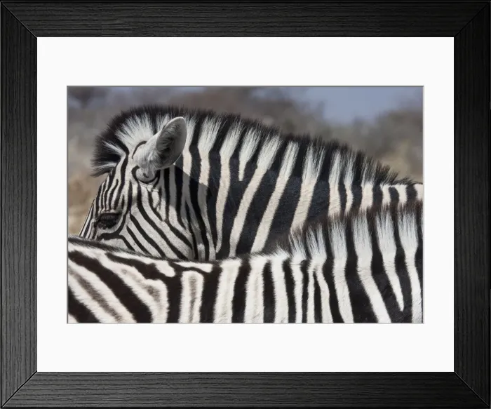 Framed Print : DDE-90021793 Framed Print : DDE-90021793