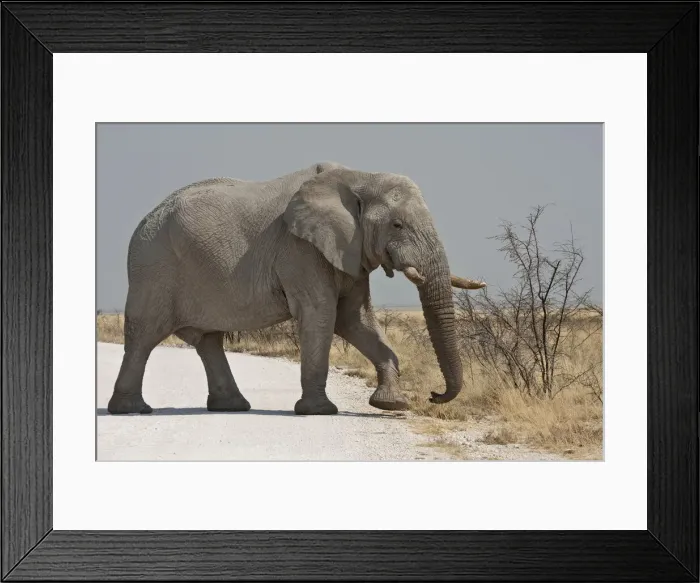 Framed Print : DDE-90021796 Framed Print : DDE-90021796