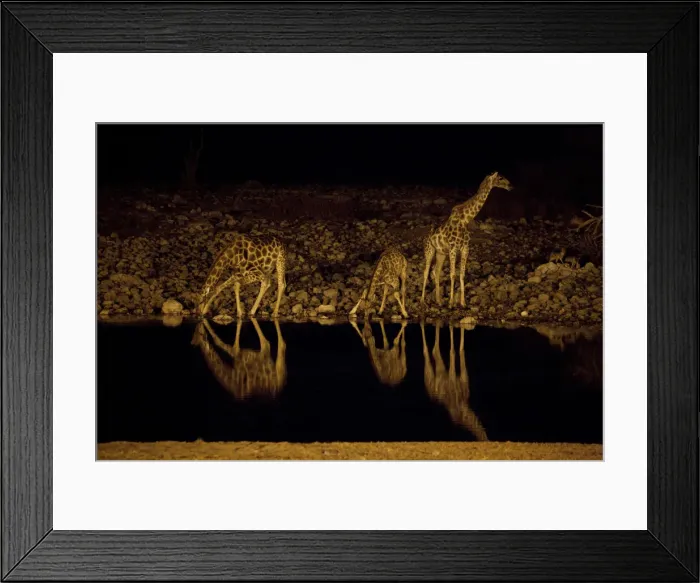 Framed Print : DDE-90021797 Framed Print : DDE-90021797