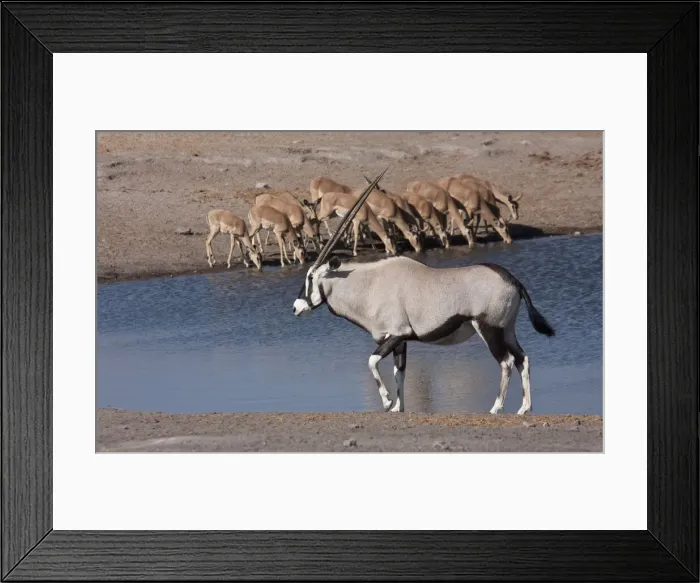 Framed Print : DDE-90021799