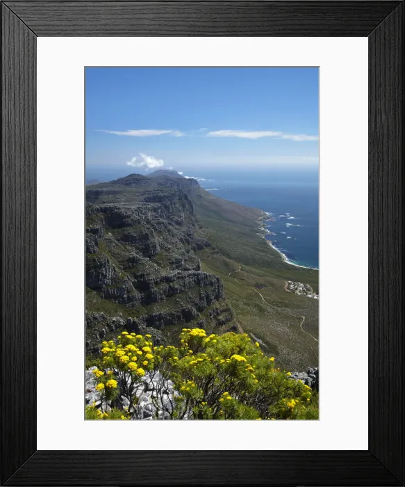 Framed Print : DDE-90021815