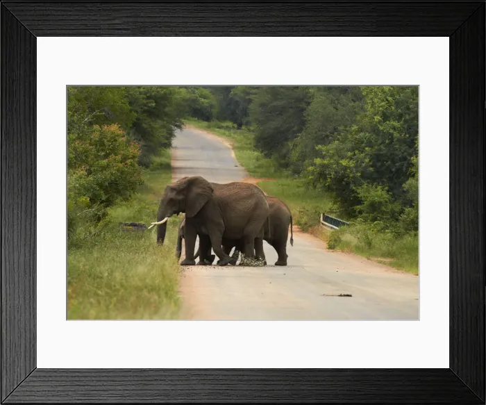 Framed Print : DDE-90021825 Framed Print : DDE-90021825