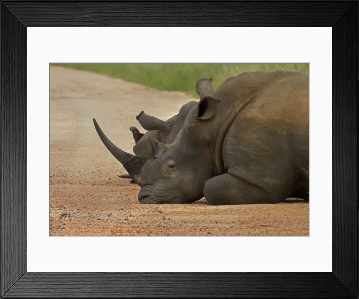 Framed Print : DDE-90021827 Framed Print : DDE-90021827