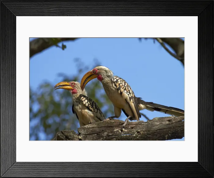Framed Print : DDE-90021845 Framed Print : DDE-90021845