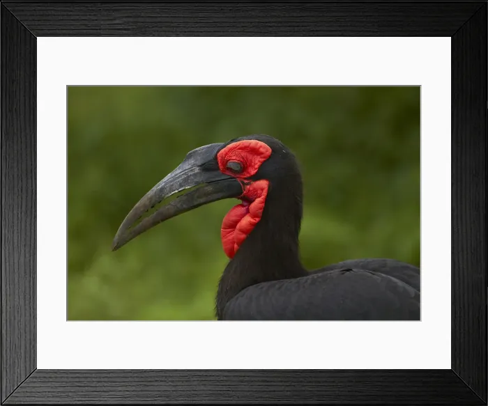 Framed Print : DDE-90021848 Framed Print : DDE-90021848