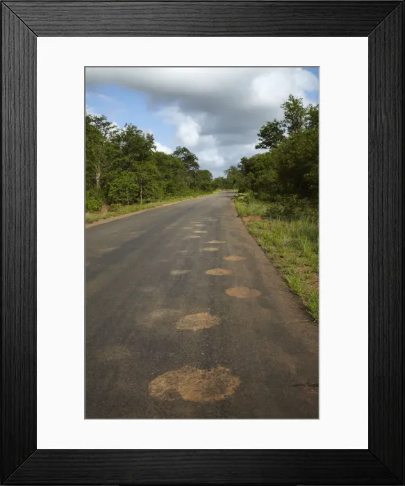 Framed Print : DDE-90021862 Framed Print : DDE-90021862