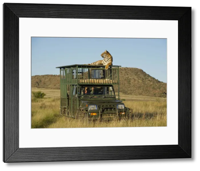 Framed Print : DDE-90021900 Framed Print : DDE-90021900