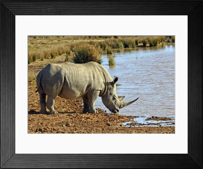 Framed Print : DDE-90021917 Framed Print : DDE-90021917