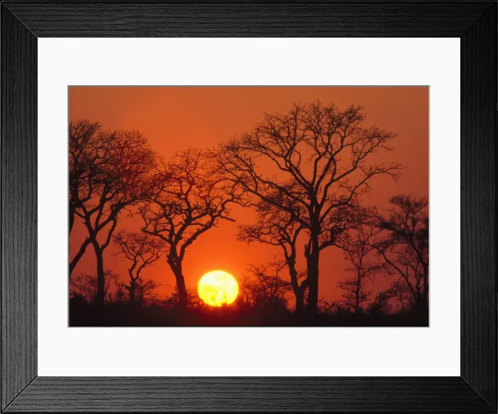 Framed Print : DDE-90021920 Framed Print : DDE-90021920