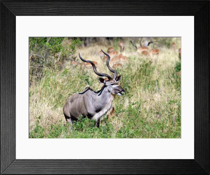 Framed Print : DDE-90021922 Framed Print : DDE-90021922