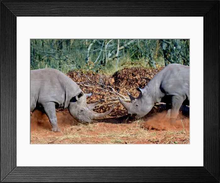 Framed Print : DDE-90021926 Framed Print : DDE-90021926