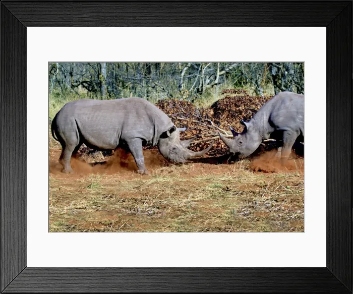 Framed Print : DDE-90021925 Framed Print : DDE-90021925
