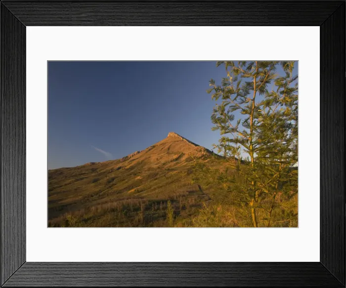 Framed Print : DDE-90021930 Framed Print : DDE-90021930
