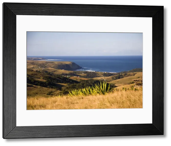 Framed Print : DDE-90021939 Framed Print : DDE-90021939