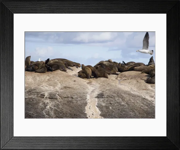 Framed Print : DDE-90021941 Framed Print : DDE-90021941