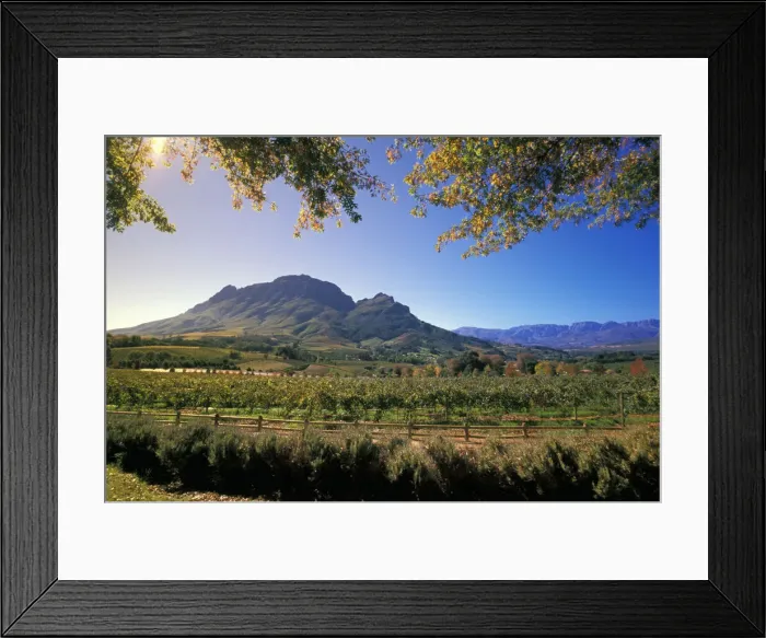 Framed Print : DDE-90021959