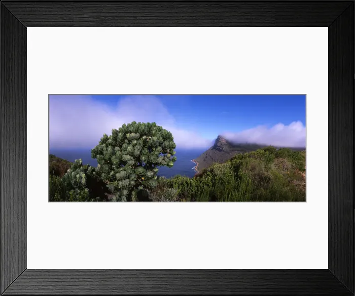 Framed Print : DDE-90021971 Framed Print : DDE-90021971