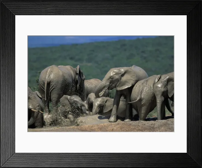 Framed Print : DDE-90021978