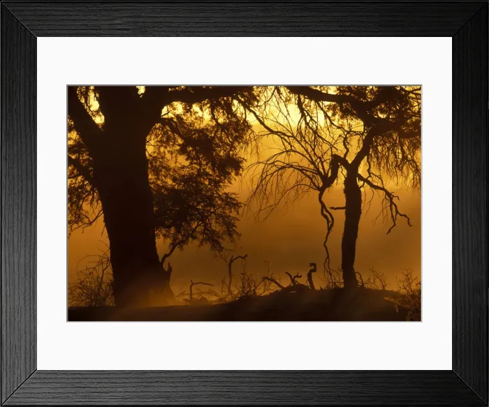 Framed Print : DDE-90021981 Framed Print : DDE-90021981