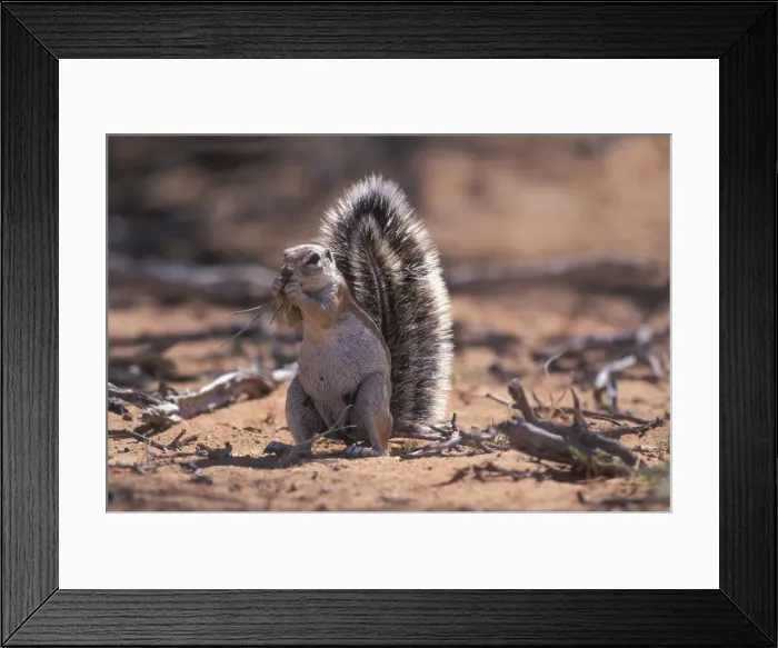 Framed Print : DDE-90022000 Framed Print : DDE-90022000