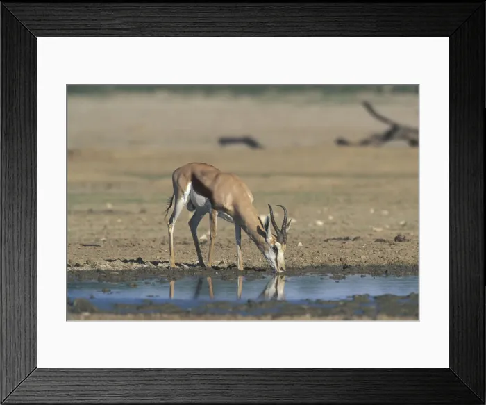 Framed Print : DDE-90022001 Framed Print : DDE-90022001