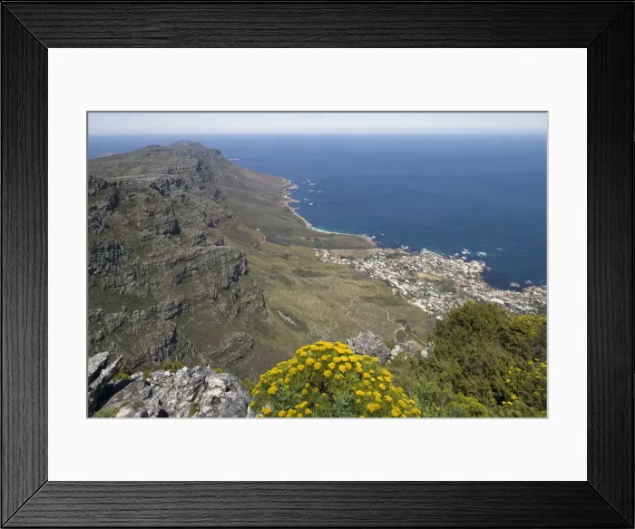 Framed Print : DDE-90022031 Framed Print : DDE-90022031