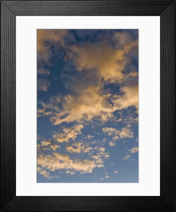 Framed Print : DDE-90022051 Framed Print : DDE-90022051