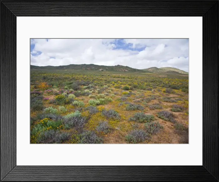 Framed Print : DDE-90022088 Framed Print : DDE-90022088