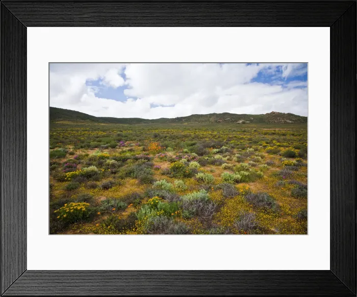 Framed Print : DDE-90022087 Framed Print : DDE-90022087