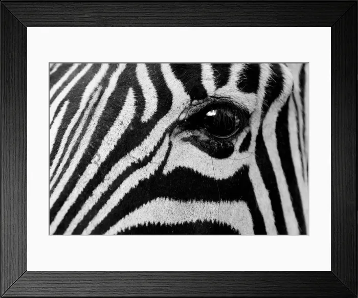 Framed Print : DDE-90022104 Framed Print : DDE-90022104