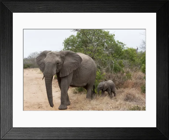 Framed Print : DDE-90022107