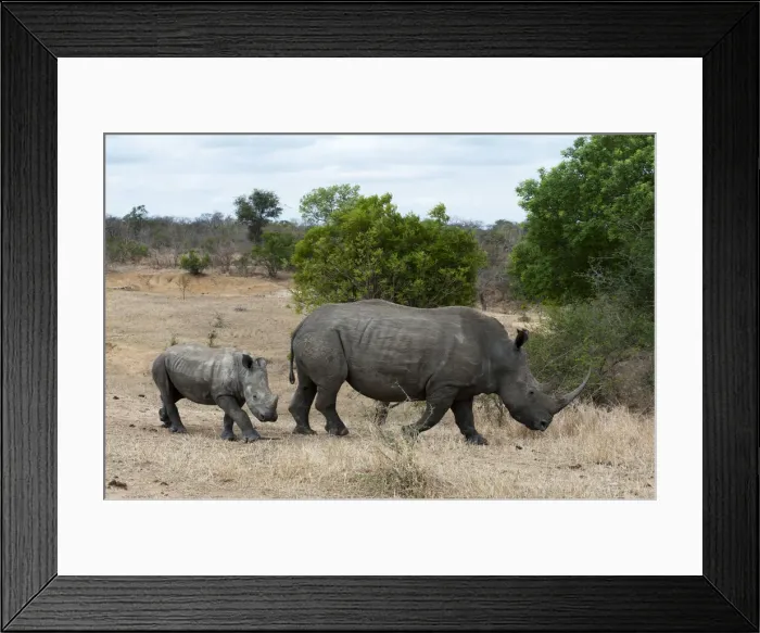 Framed Print : DDE-90022110 Framed Print : DDE-90022110