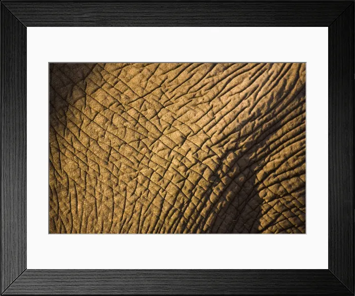 Framed Print : DDE-90022122 Framed Print : DDE-90022122