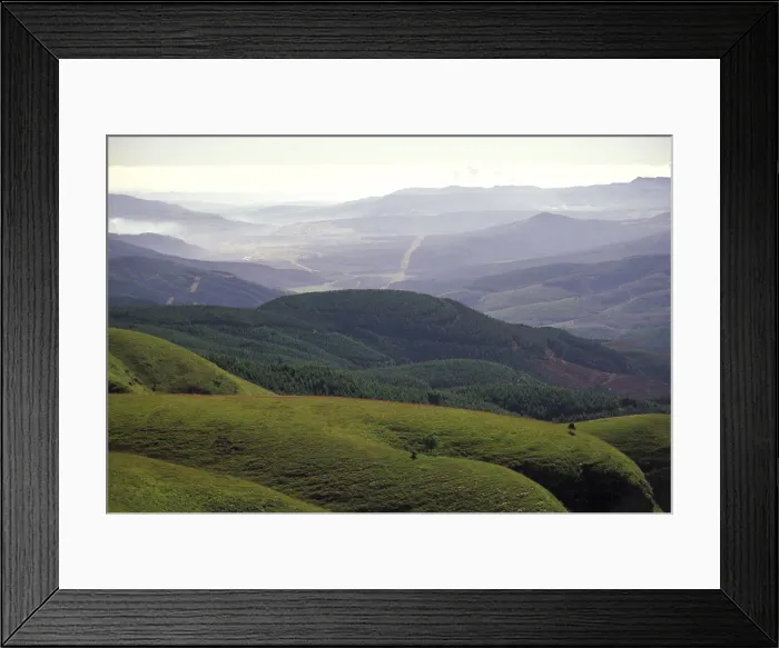 Framed Print : DDE-90022135 Framed Print : DDE-90022135