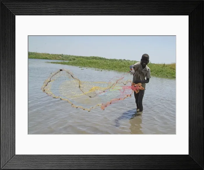 Framed Print : DDE-90022137