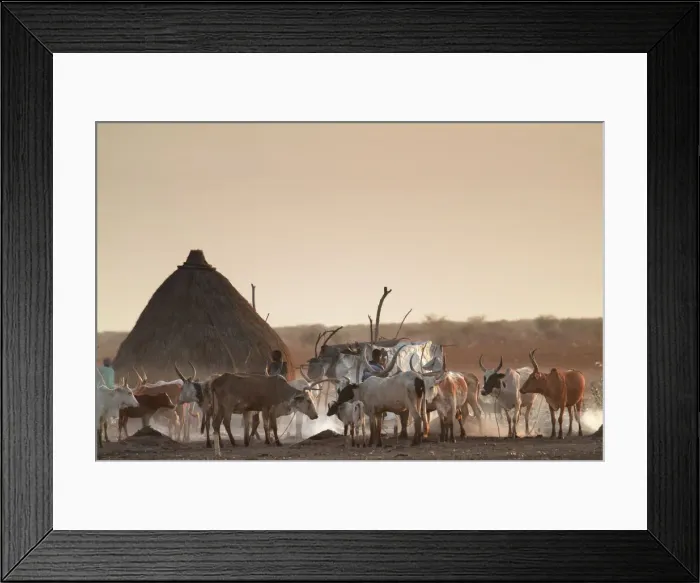 Framed Print : DDE-90022138